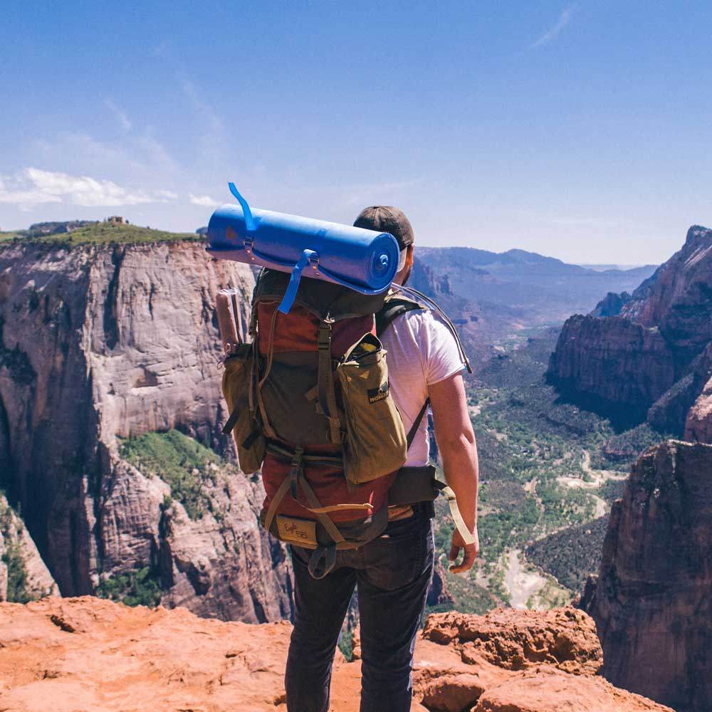 Seeschwalbe Essentials für Deine Reise
