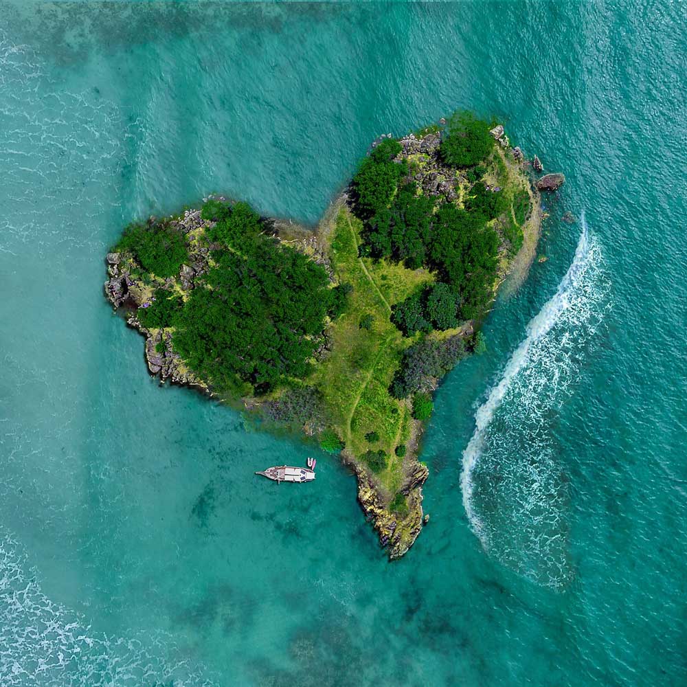 Langlebigkeit und Garantie